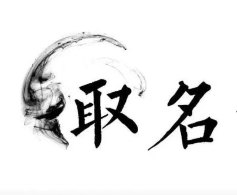  广南宝宝取名 大师一对一人工起名